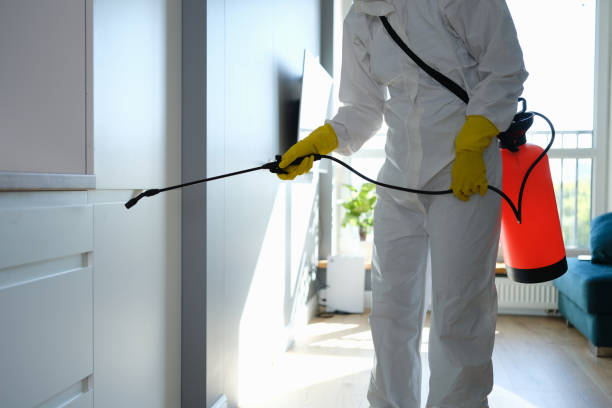 Professional Mold Remediation in Windber, PA